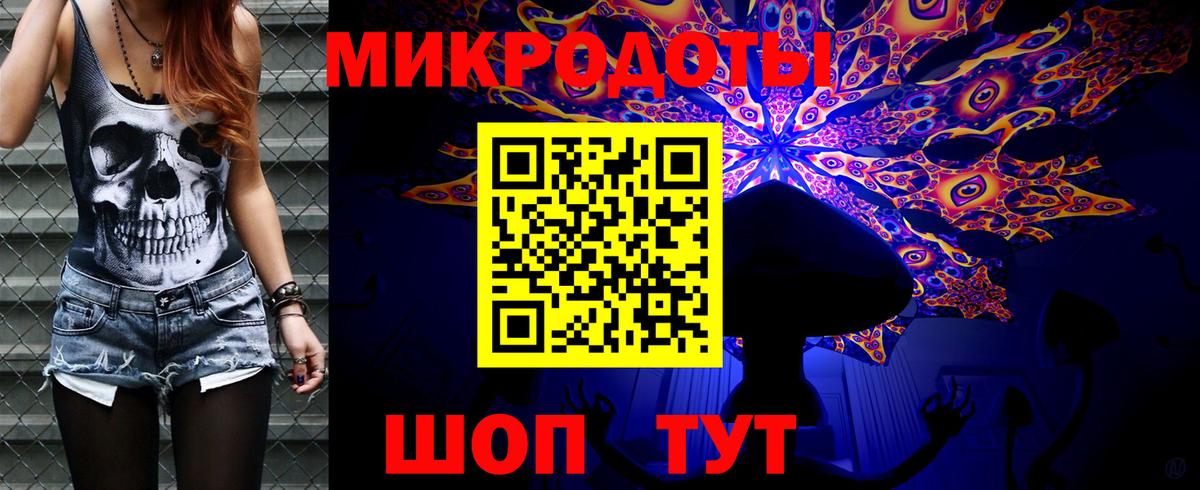 Галлюциногенные грибы Psilocybe Борисоглебск