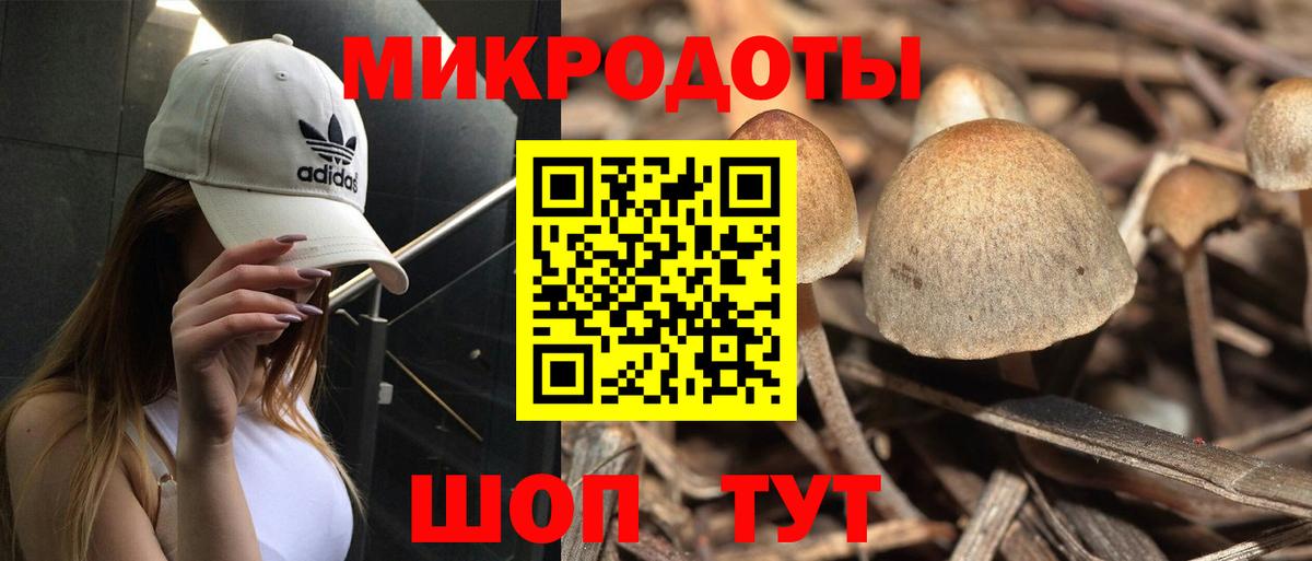 Галлюциногенные грибы Psilocybe  Вход с VPN  Борисоглебск 